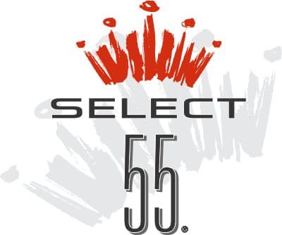 Budweiser Select 55 logo